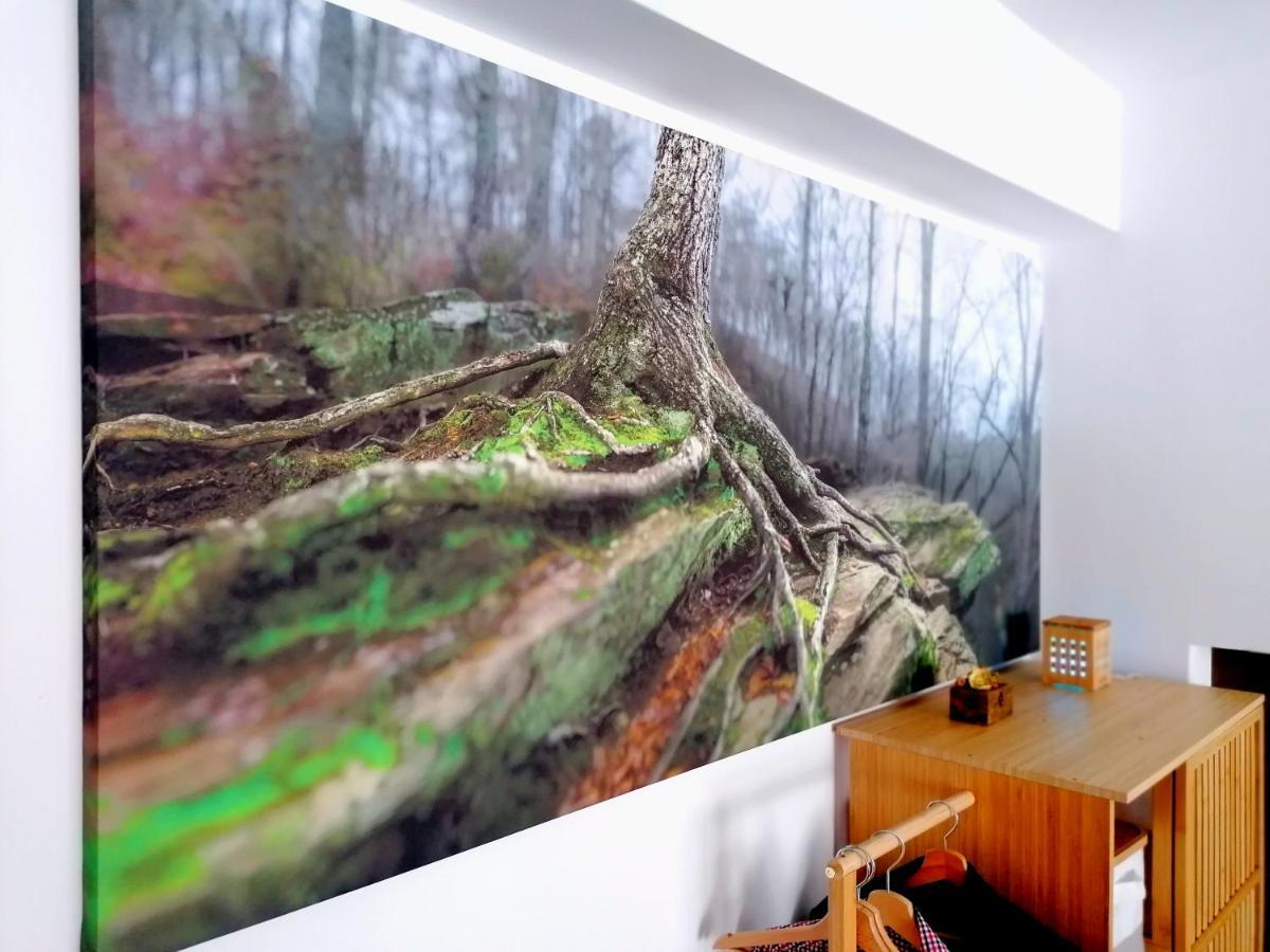 Wooden Touch Studio Брашов Екстер'єр фото